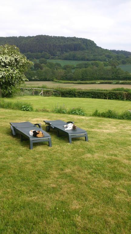 Upper Letton Farm Bed & Breakfast Leintwardine Ngoại thất bức ảnh