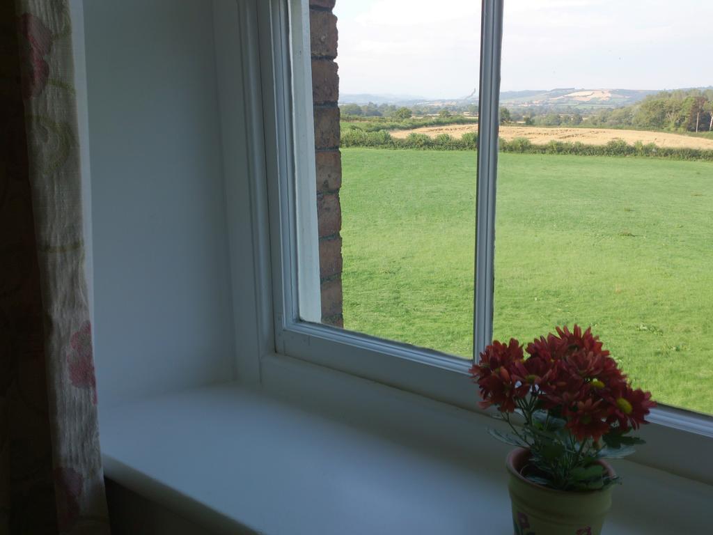 Upper Letton Farm Bed & Breakfast Leintwardine Phòng bức ảnh